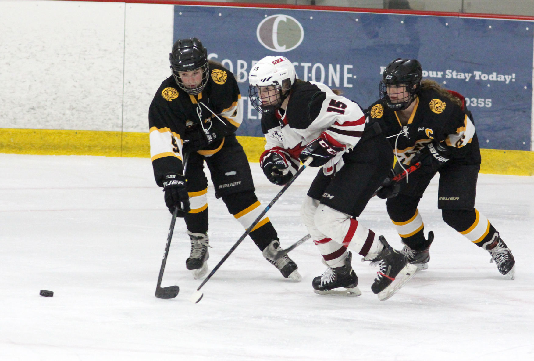 Hayward at Chippewa Falls/Menomonie girls hockey 2-20-20